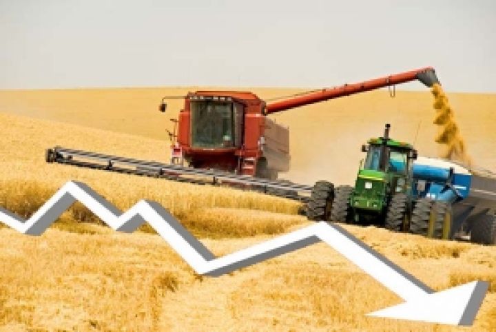 Сельское хозяйство окажется среди отстающих в 2014 г. – эксперт