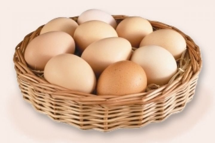 Экспорт яиц из Украины вырастет на 13%