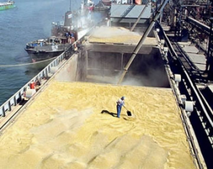 Возобновление судостроения откроет новые возможности для экспорта зерна — Азаров