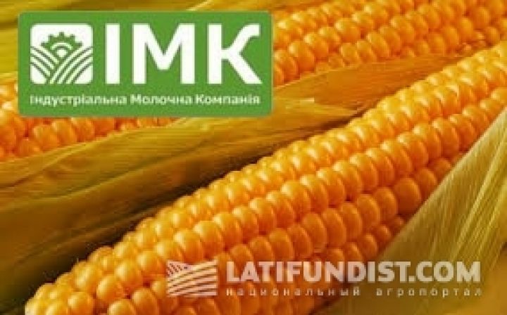 ИМК нарастила урожай кукурузы почти в 2 раза