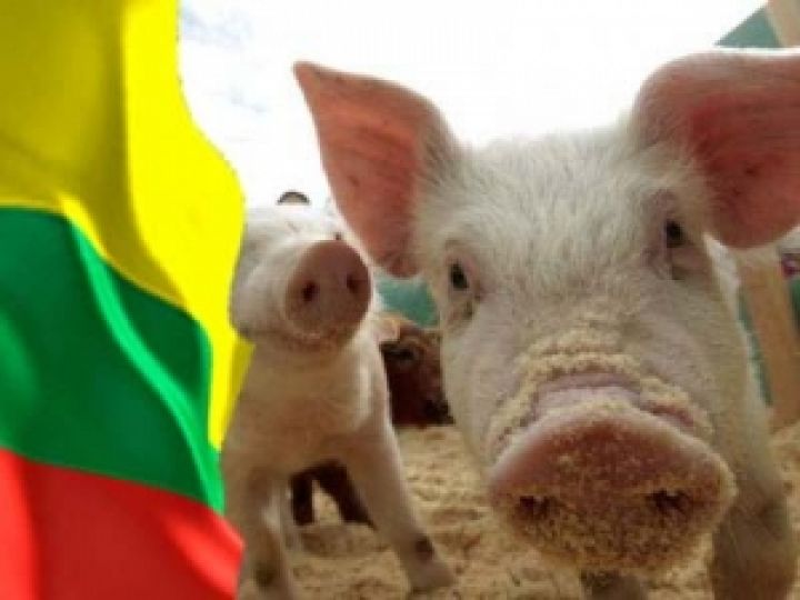 Украина установила временный запрет на импорт литовского мяса