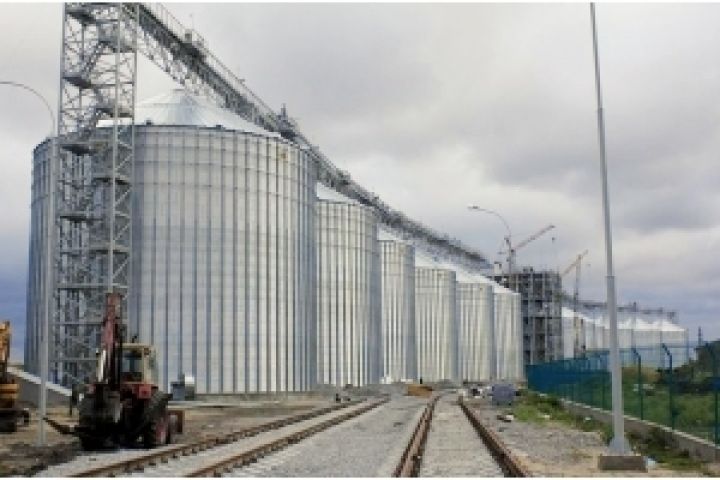 В Украине не хватает мощностей для перевалки зерна — мнение