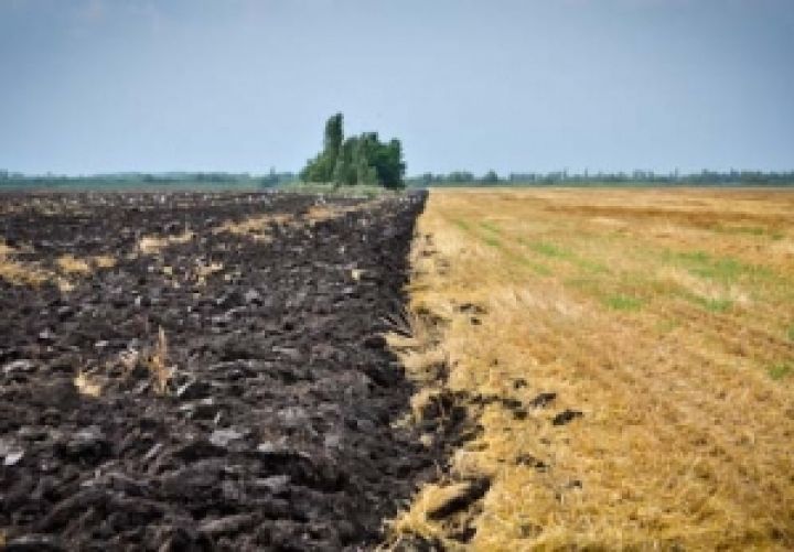 На территории Украины есть еще много необработанных сельхозземель — Лисситса