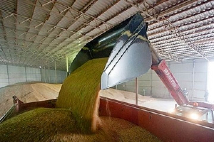Минагропрод опасается задержек в экспорте украинского зерна