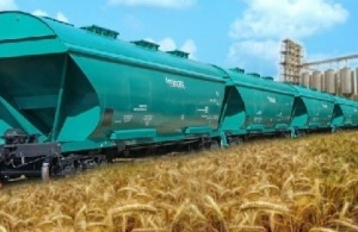Львовская железная дорога существенно нарастила перевозки зерна