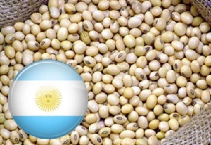 Валютный кризис в Аргентине может привести к обвалу мировых цен на сою