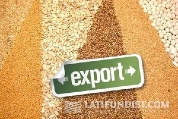 Экспорт украинского зерна вырос на треть