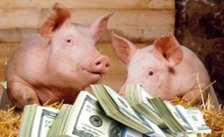 Украинская свинина вернется на российский рынок