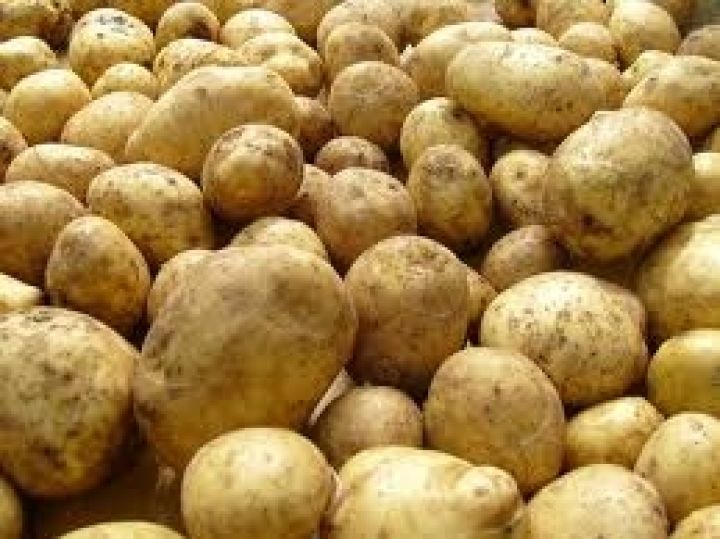 Весной цены на картофель поднимутся до 12 грн — эксперт