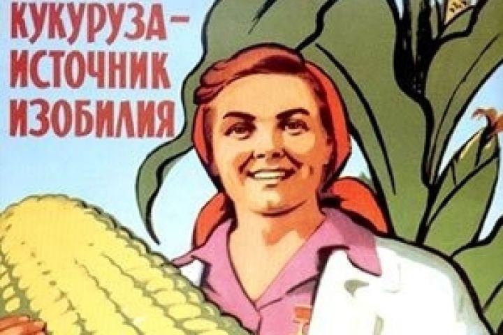 Кукуруза стала основной экспортной единицей для украинских аграриев