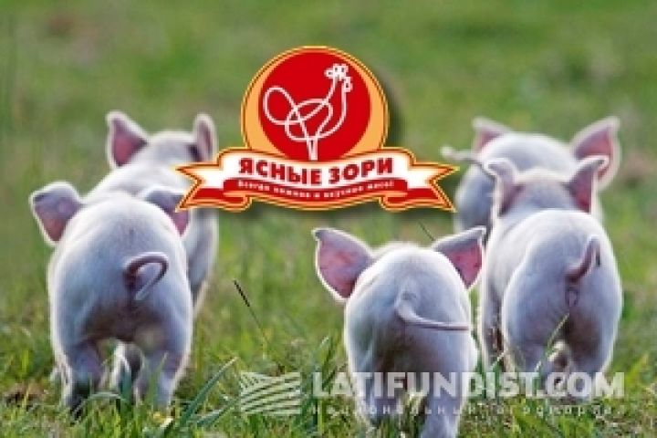 Российский агрохолдинг построит свинокомплекс в Полтавской области
