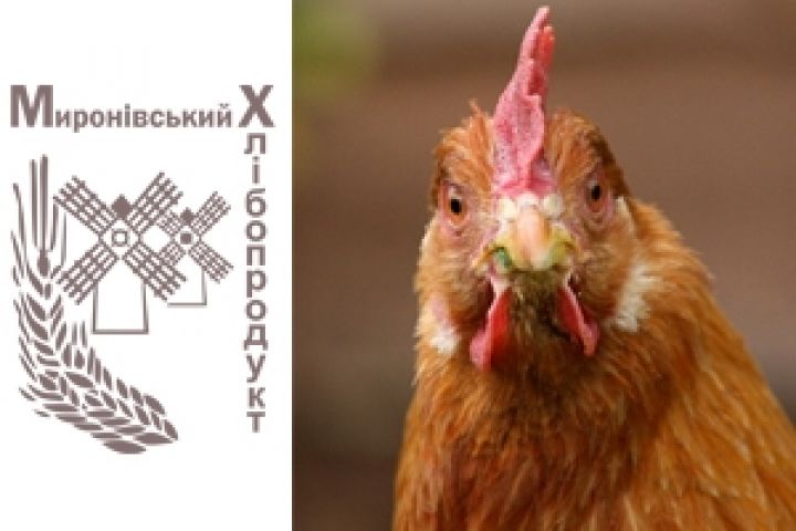 Запрет экспорта в ТС на Мироновской птицефабрике сказался незначительно