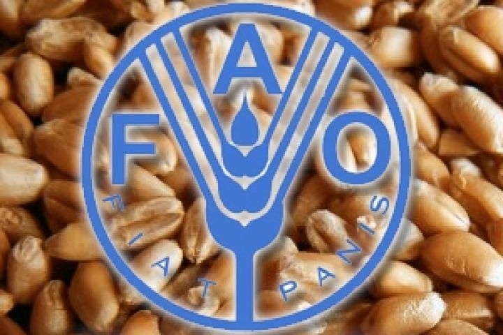 ФАО скоректировала прогноз мирового производства зерна