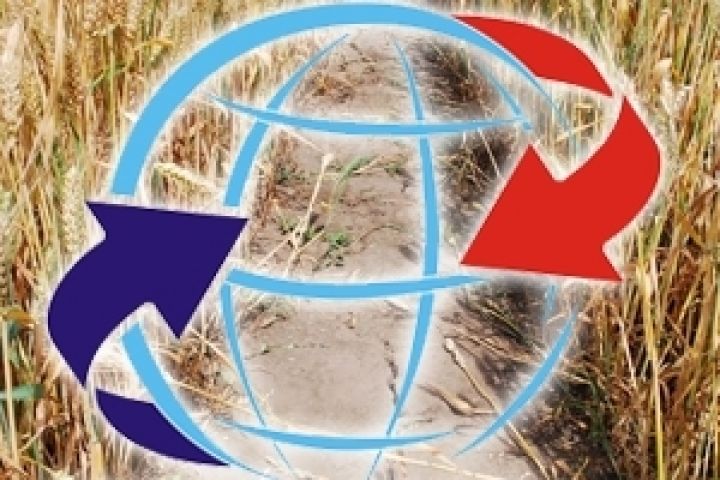 Минсельхоз США повысил прогноз экспорта украинского зерна