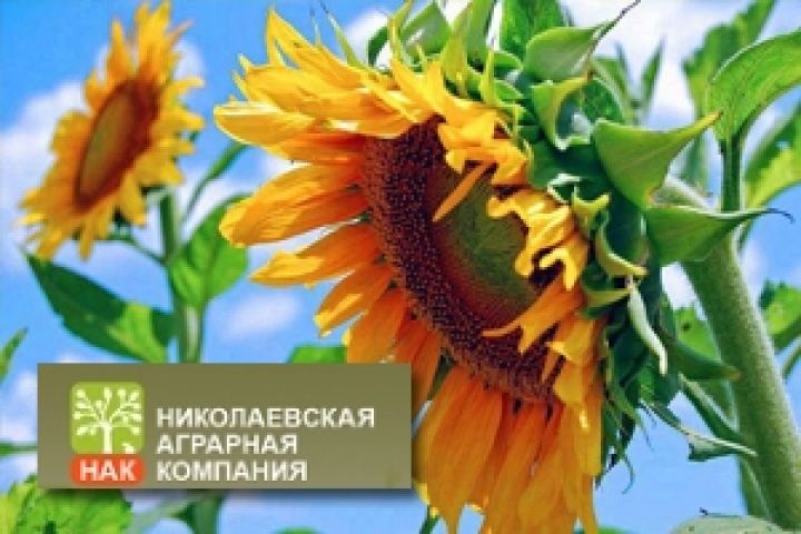 Camberoy Limited намерена приобрести 97,7% акций Николаевской аграрной компании 
