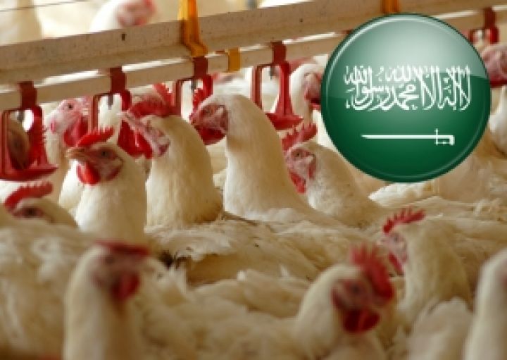 Украина хочет снять шестилетний запрет на ввоз мяса птицы в Саудовскую Аравию