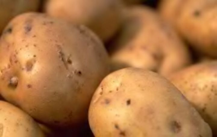 Экспорт украинского картофеля увеличился в 2,5 раза – Минагропод