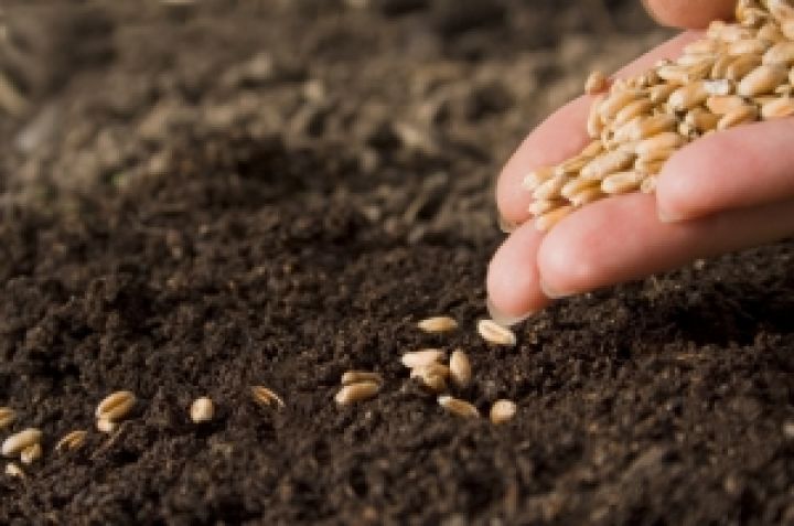 70% средств для посевной аграрии тратят на удобрения — Минагропрод