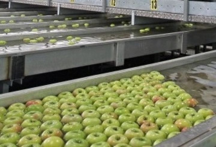 Крымская фруктовая компания вложила в новое оборудование 70 млн грн