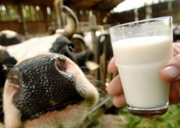 В Ровенской области построят молочный комплекс на 2 тыс. коров