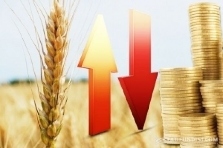 Украина поставила на внешние рынки сельхозпродукции на на $18 млрд