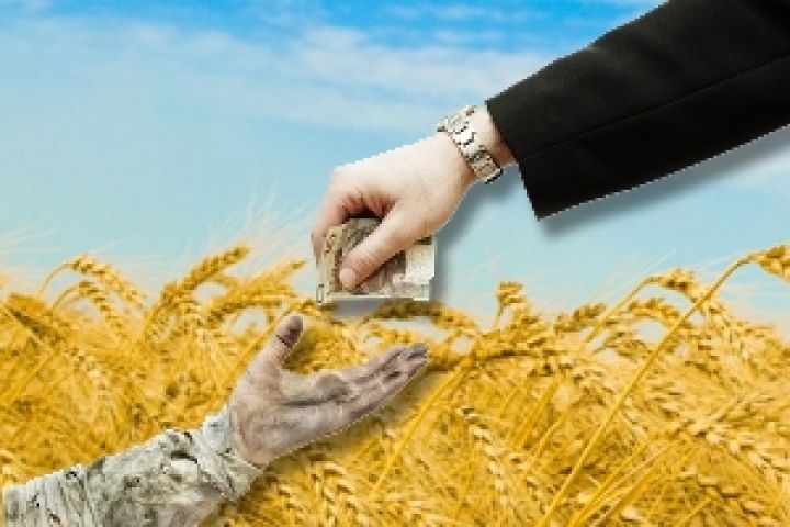 Профинансировать аграриев помогут форвардные контракты — Присяжнюк