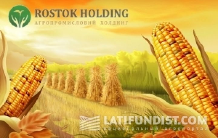 Росток-Холдинг увеличил производство кукурузы в 2,5 раза