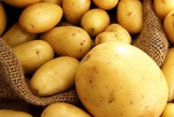 Рост цен на картофель в Украине остановился — эксперт