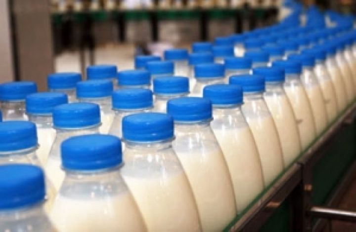 Промышленное производство молока в Украине увеличится