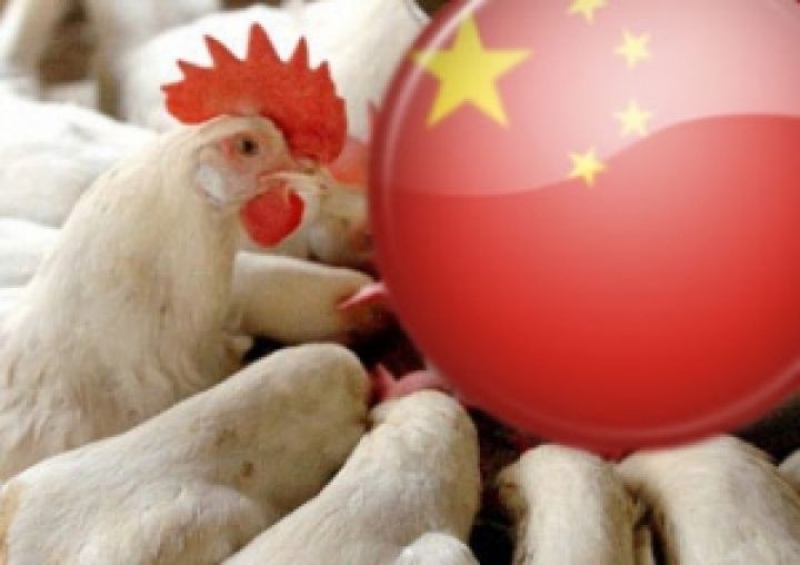 Украинская курятина имеет большие перспективы на рынке Китая — иностранный эксперт