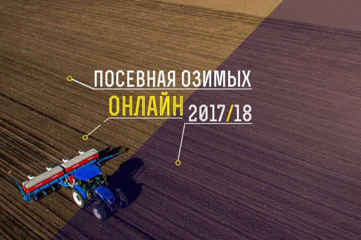 Украинские аграрии провели посев озимого рапса на площади 216 тыс. га