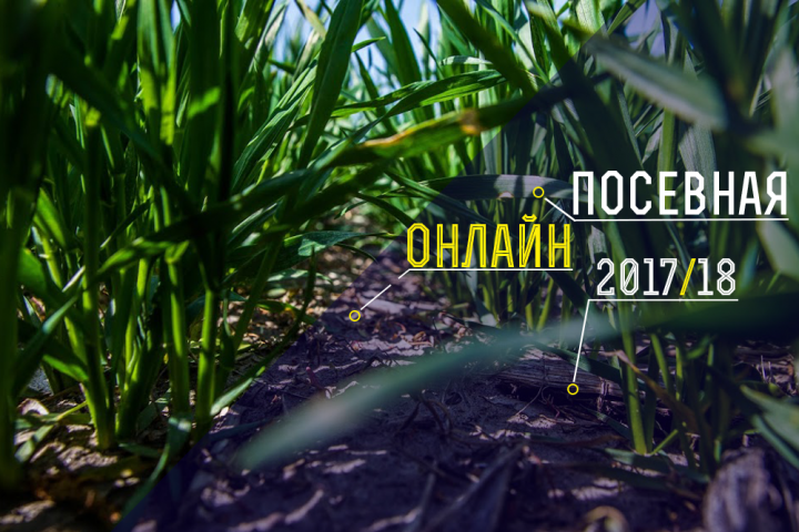 В Украине засеяно 2,1 млн га под озимой пшеницей