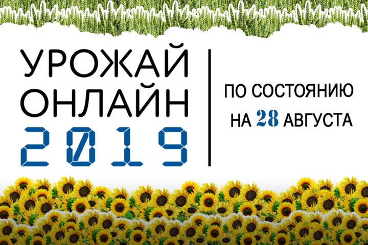 Crop progress in Ukraine as of August 28th