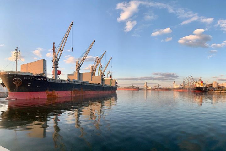 The Sea Specialized Port Nika-Tera (Mykolaiv region)