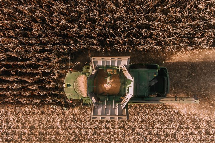 Уборка урожая кукурузы в Украине