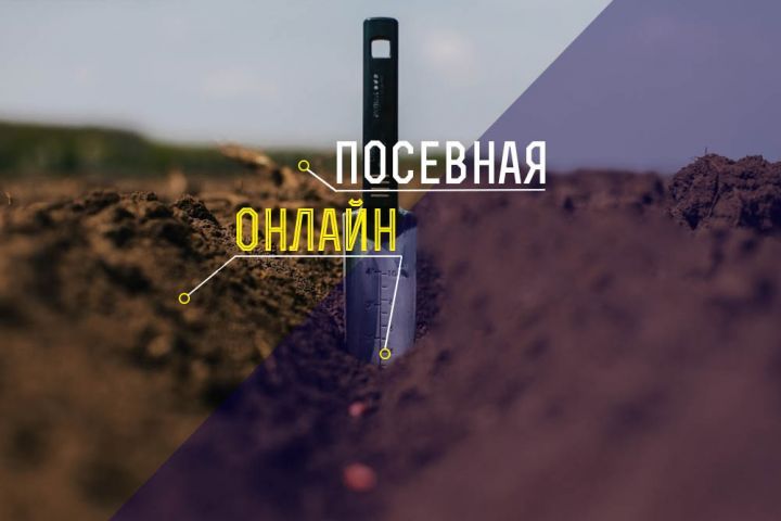 Посевная кампания яровых культур в Украине 2019/20
