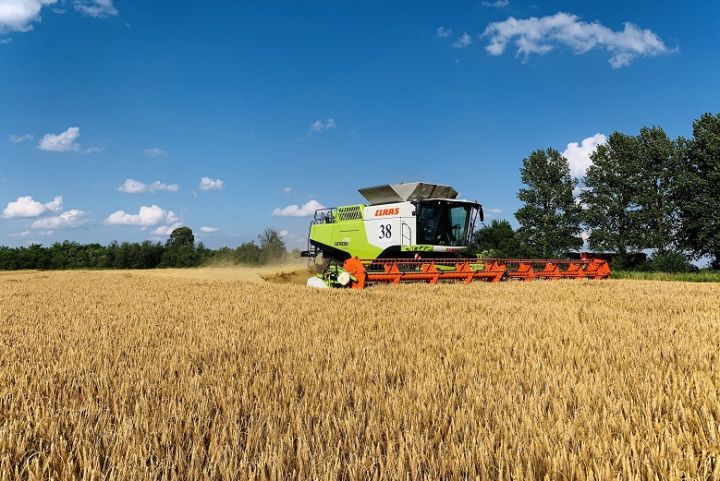 Continental Farmers Group harvesting early grains