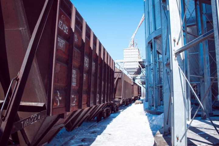 Ukrzaliznytsia grain hopper cars being loaded at an elevator
