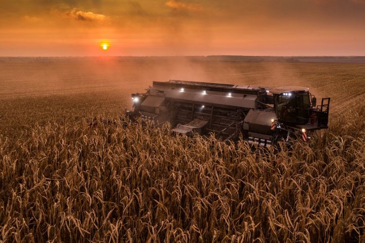 The NEXAT carrier vehicle harvesting corn