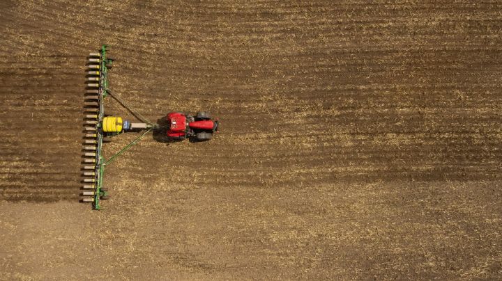 Spring crops sowing in Ukraine