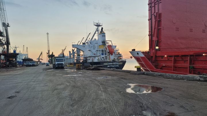 російський балкер «Михайло Ненашев» вивантажує українське зерно в турецькому порту