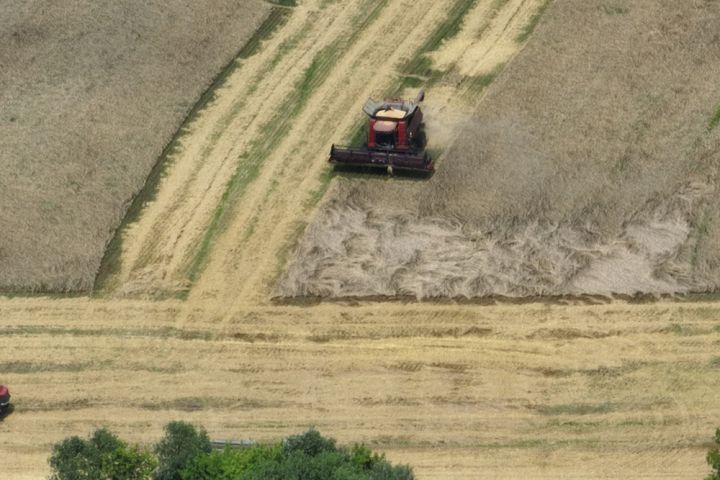 Збір врожаю зернових культур у прикордонних районах Сумщини