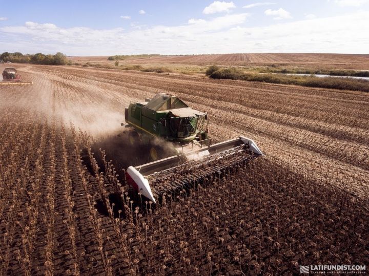 John Deere combine is harvesting sunflower in Ukraine