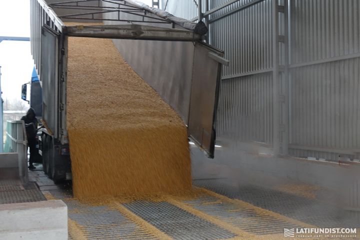 Приймання зерна на елеваторі