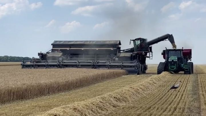 First in Ukraine wheeled NEXAT system tractor harvests barley in Kischenzi's field in Cherkasy region, Ukraine. Early July 2023