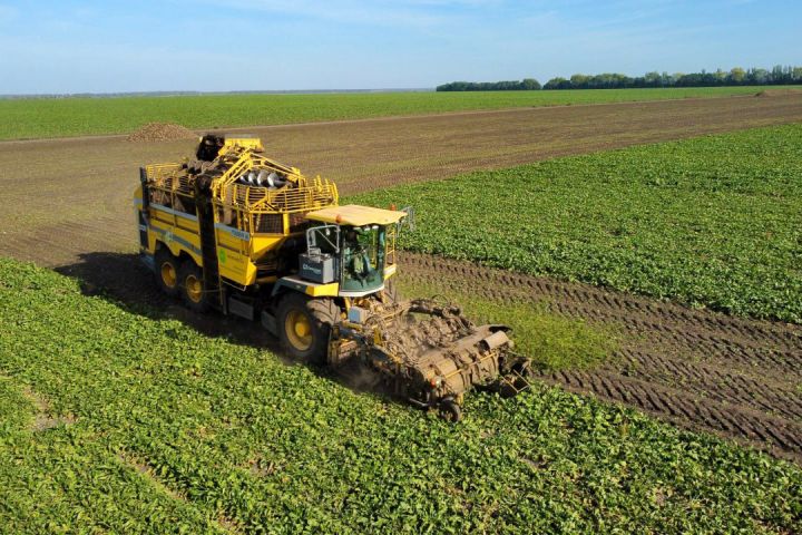 «ТАС Агро» збирає врожай цукрового буряку на полях Вінниччини