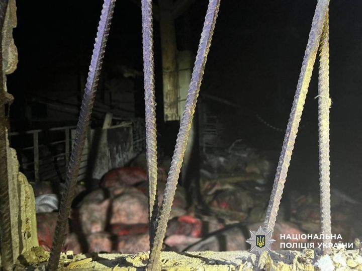 Свині На Чернігівщині загинуло близько тисячі свиней