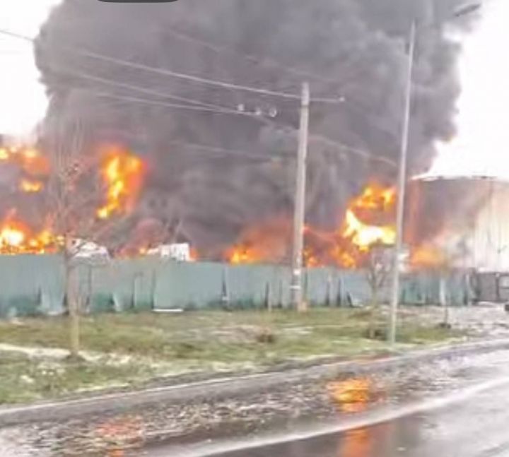 Термінал Alseeds