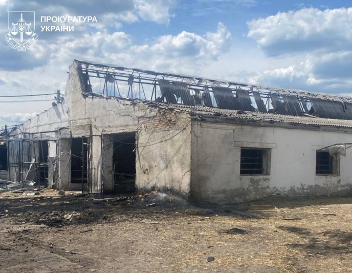 Наслідки атаки росіян на ферму в Харківській області 3 червня 2026 року