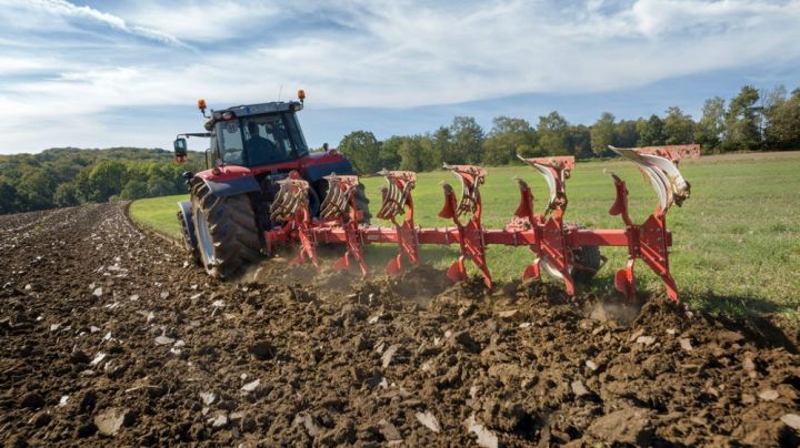 Новий плуг Maschio Gaspardo Unico M6 NE Новий плуг Maschio Gaspardo Unico M6 NE